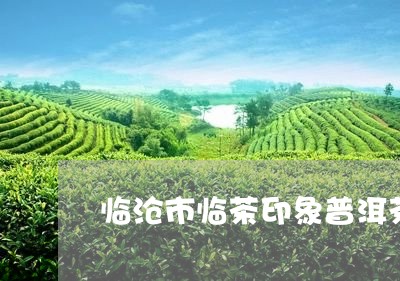 临沧市临茶印象普洱茶/2023062304947