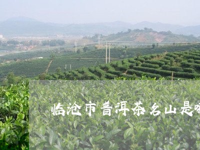 临沧市普洱茶名山是哪个山/2023112573605