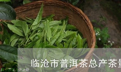 临沧市普洱茶总产茶量/2023092965967