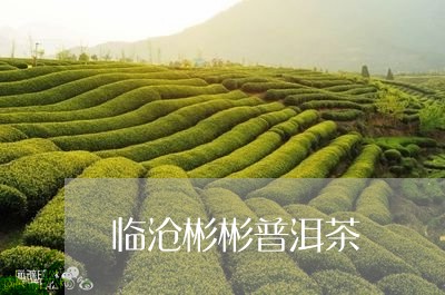 临沧彬彬普洱茶/2023112632817