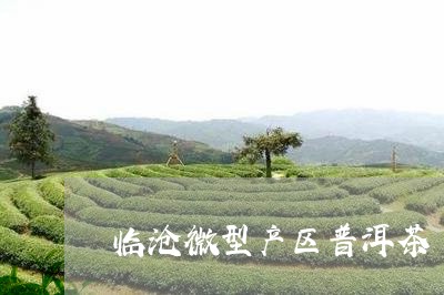 临沧微型产区普洱茶/2023070854056