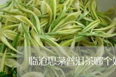 临沧思茅普洱茶哪个好/2023062489692