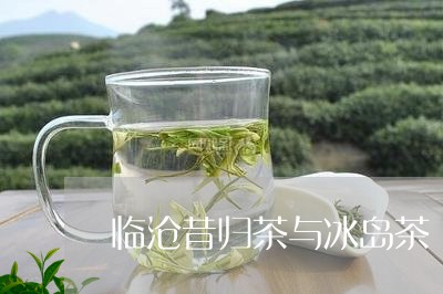 临沧昔归茶与冰岛茶/2023042699694