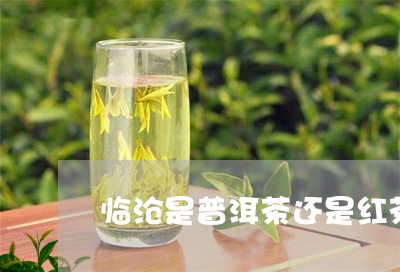 临沧是普洱茶还是红茶/2023100840705