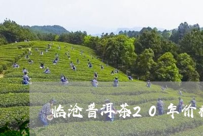 临沧普洱茶20年价格/2023100783148