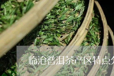 临沧普洱茶产区特点分析/2023082748380