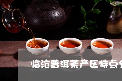 临沧普洱茶产区特点分析/2023110304847