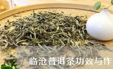 临沧普洱茶功效与作用及禁忌/2023052863817