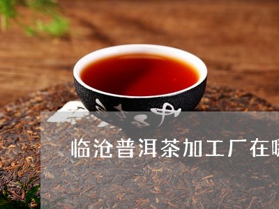 临沧普洱茶加工厂在哪里/2023110324180