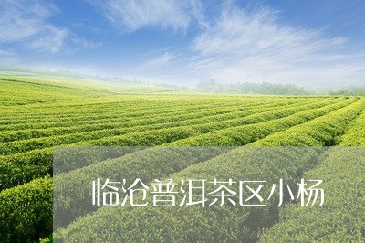 临沧普洱茶区小杨/2023112607169