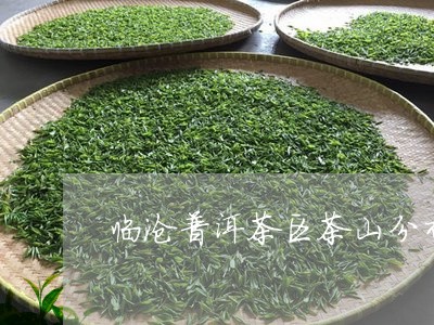 临沧普洱茶区茶山分布/2023080270726