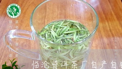 临沧普洱茶厂自产自销的茶/2023112407948