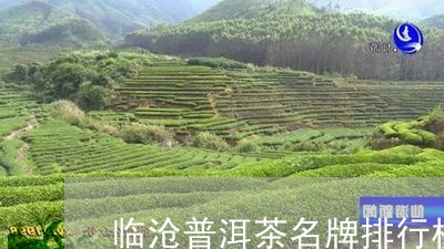 临沧普洱茶名牌排行榜及价格/2023052896150