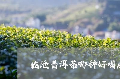 临沧普洱茶哪种好喝点呢/2023050668260