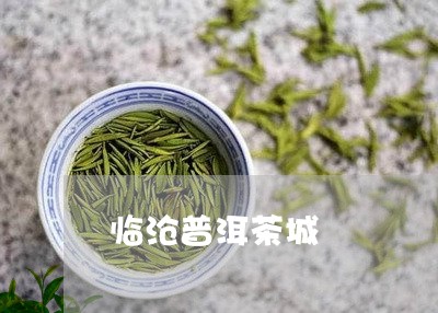 临沧普洱茶城/2023042724114