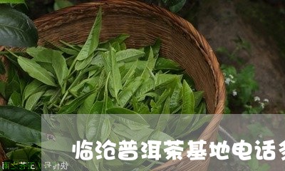 临沧普洱茶基地电话多少/2023081652916