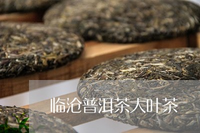 临沧普洱茶大叶茶/2023120378427