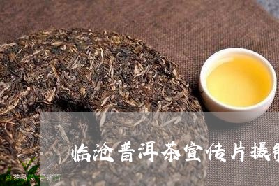 临沧普洱茶宣传片摄制/2023061373915