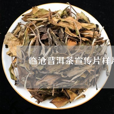 临沧普洱茶宣传片样片/2023092548693