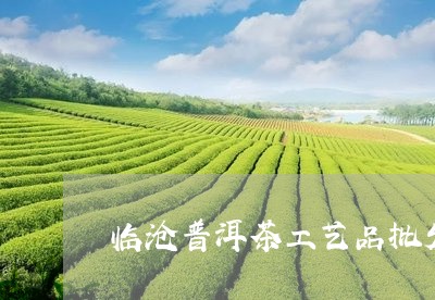 临沧普洱茶工艺品批发市场在哪/2023053064017