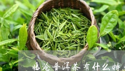 临沧普洱茶有什么特点/2023080135140