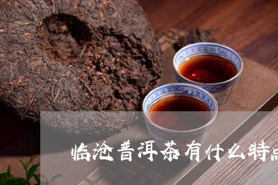 临沧普洱茶有什么特点/2023100549480