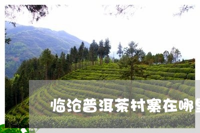 临沧普洱茶村寨在哪里/2023080242734