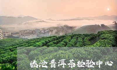 临沧普洱茶检验中心/2023091485384