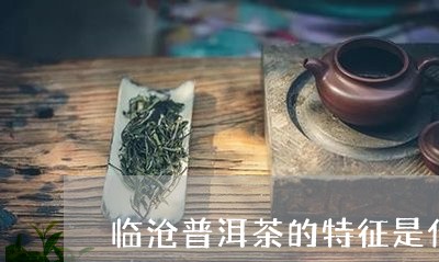 临沧普洱茶的特征是什么样的/2023052908260