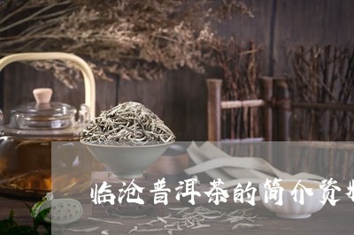 临沧普洱茶的简介资料及功效/2023052854736