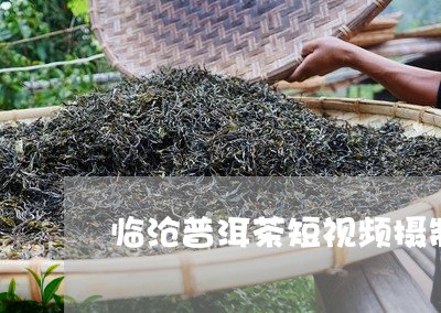 临沧普洱茶短视频摄制/2023062479594