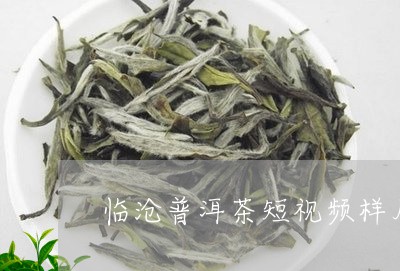 临沧普洱茶短视频样片/2023080355037