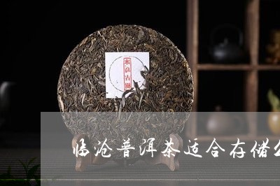 临沧普洱茶适合存储么/2023080153915