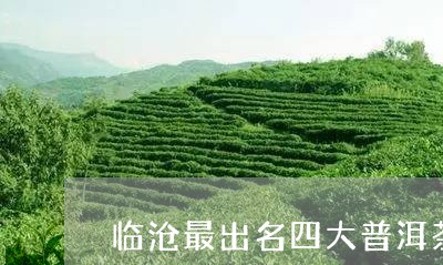 临沧最出名四大普洱茶/2023061740481