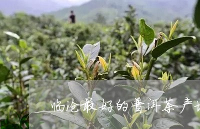 临沧最好的普洱茶产地/2023080199475