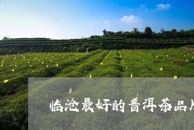 临沧最好的普洱茶品牌是什么茶/2023052927571