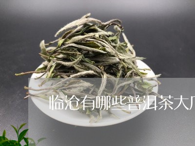 临沧有哪些普洱茶大厂/2023080253138