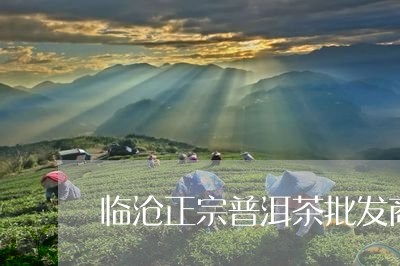 临沧正宗普洱茶批发商/2023061982524