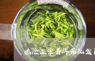 临沧正宗普洱茶批发商/2023093067049