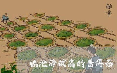 临沧海拔高的普洱茶/2023112418149