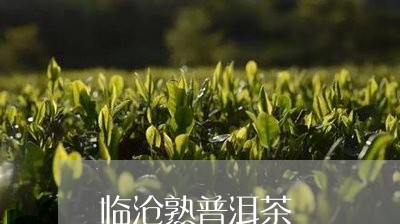 临沧熟普洱茶/2023042692772