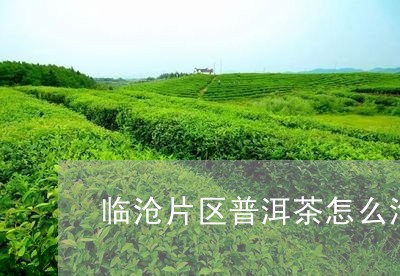 临沧片区普洱茶怎么泡/2023062256268