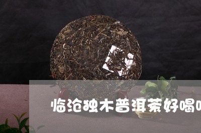 临沧独木普洱茶好喝吗/2023062590704