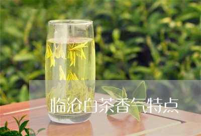 临沧白茶香气特点/2023061450593