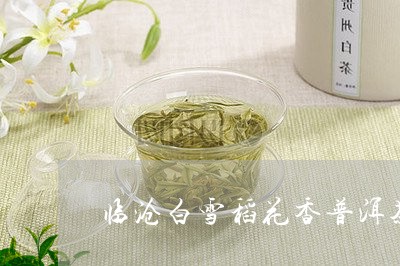 临沧白雪稻花香普洱茶/2023112748604