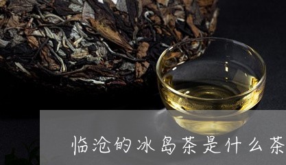 临沧的冰岛茶是什么茶/2023092329584