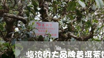 临沧的大品牌普洱茶饼有哪些/2023052819483