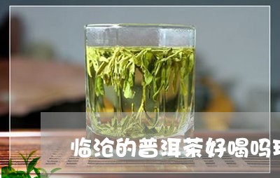 临沧的普洱茶好喝吗现在/2023082535148