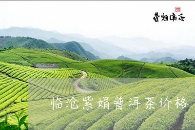 临沧紫娟普洱茶价格/2023071168495