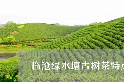 临沧绿水塘古树茶特点/2023061054078